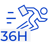 Поддержка на месте за 36 часов